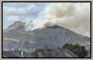Arthur's Seat Fire Causes Impact and Recovery 