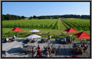 Balfour Winery A Guide to Visiting the Kent Vineyard Balfour Winery A Guide to Visiting the Kent Vineyard